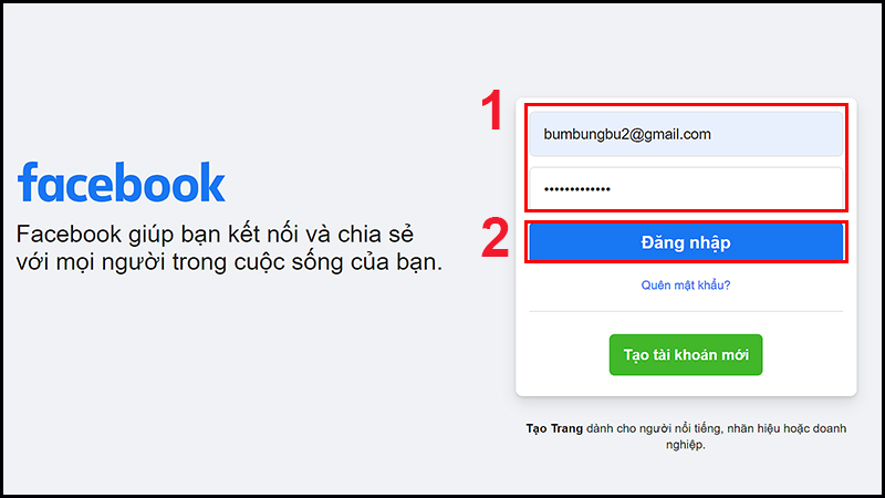 Hình: Cách đăng nhập vào Facebook
Nguồn: Internet