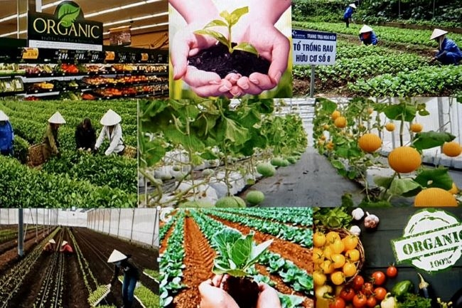 Nguồn: Lĩnh vực sản xuất nông nghiệp
Nguồn: Internet