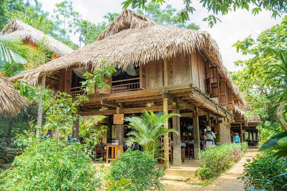 Kinh doanh dịch vụ homestay
Nguồn: Internet