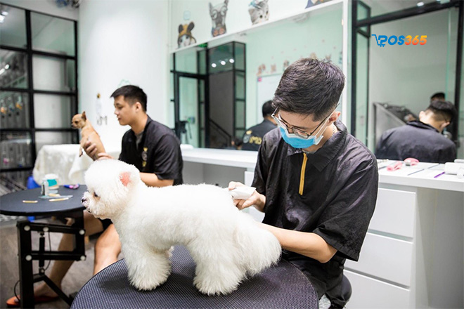 Dịch vụ spa dành cho thú cưng
Nguồn: Internet