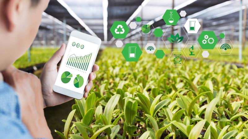 Nghiên cứu các đối thủ cạnh tranh trong thị trường nông sản
Nguồn: Internet