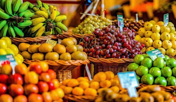 Phân tích và tối ưu hóa lợi nhuận