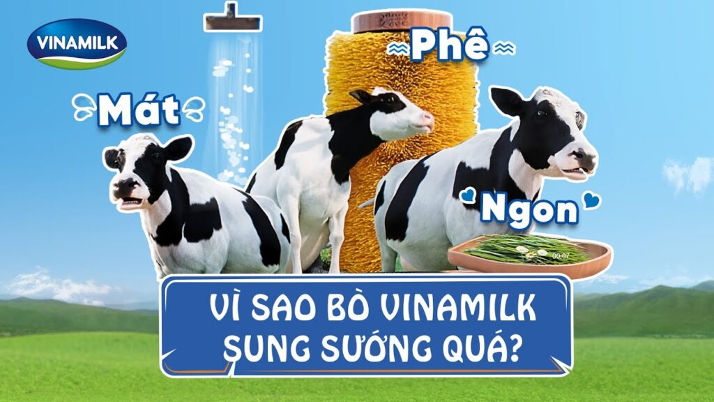 Hình: Quảng cáo trên các kênh truyền thông
Nguồn: Internet
