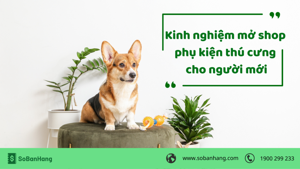 kinh nghiệm mở shop phụ kiện thú cưng cho người mới