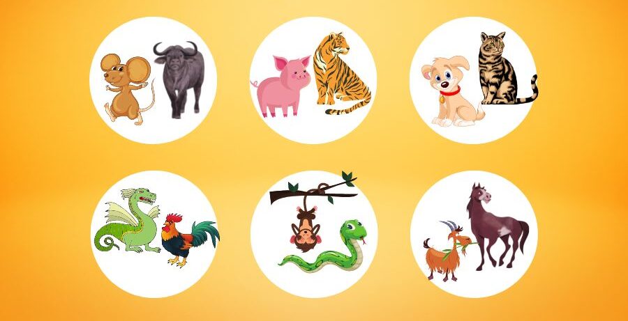 Hình: Chọn tuổi mở hàng theo Lục hợp
Nguồn: Internet