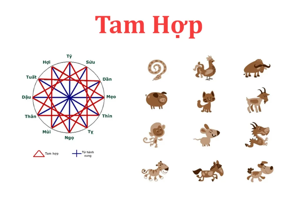 Hình: Chọn tuổi mở hàng theo tam hợp với gia chủ
Nguồn: Internet