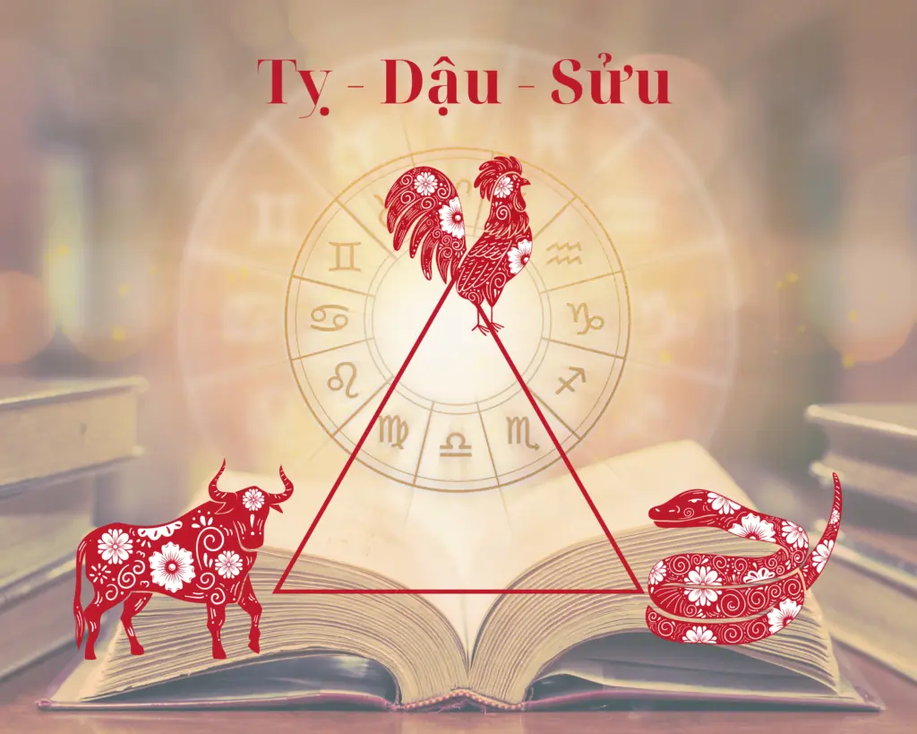 Hình: Tam hợp Kim cục: Tuổi Tỵ, Dậu, Sửu - Nhóm Trí Thức
Nguồn: Internet
