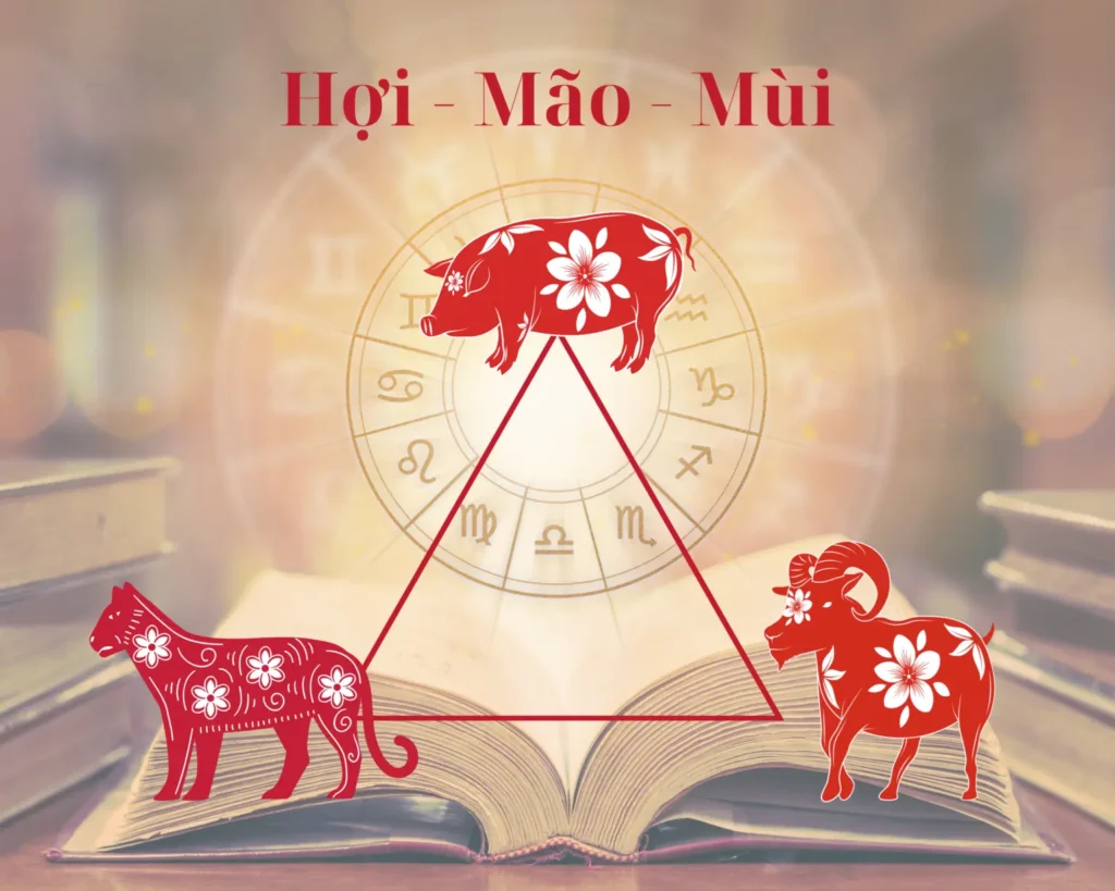 Hình: Tam hợp Mộc cục: Tuổi Hợi, Mão, Mùi - Nhóm Ngoại Giao
Nguồn: Internet