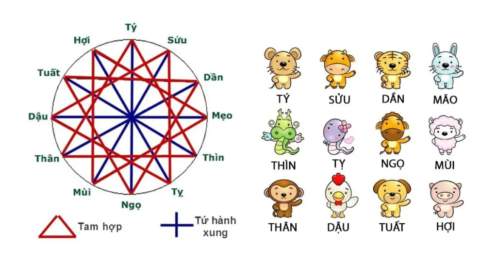Hình: Tam hợp, tứ hành xung là gì?
Nguồn: Internet