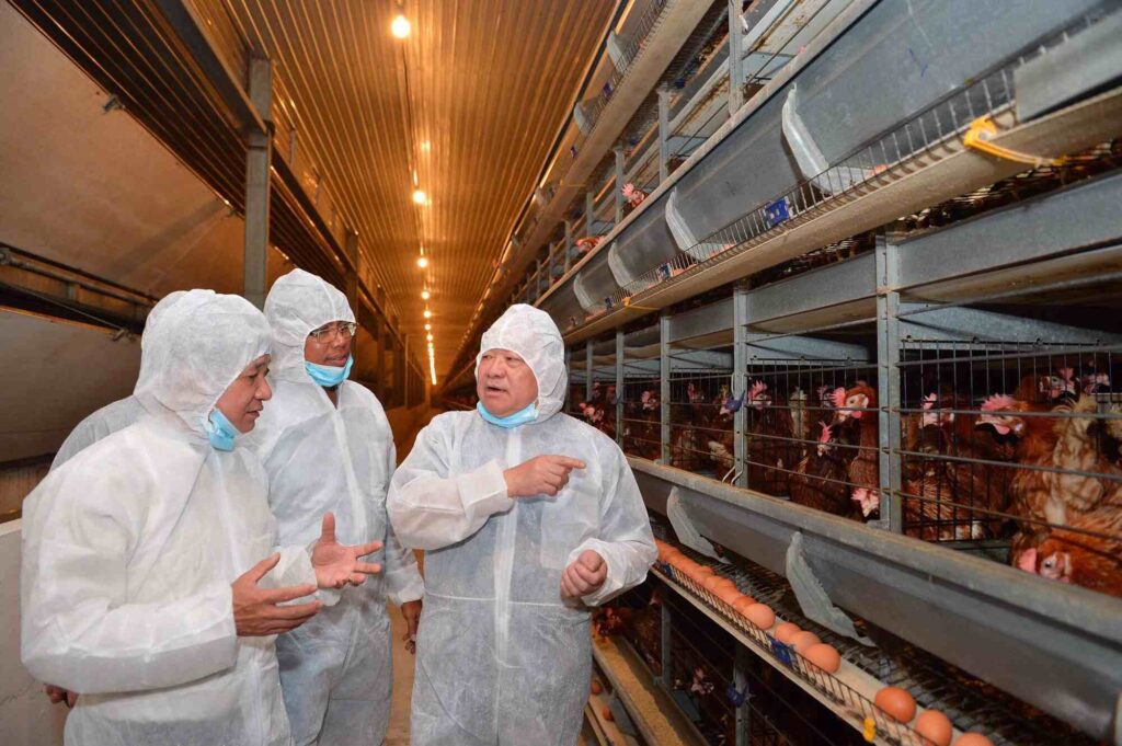 Ba Huân và chiến lược phát triển để trở thành thương hiệu trứng "quốc dân" Việt