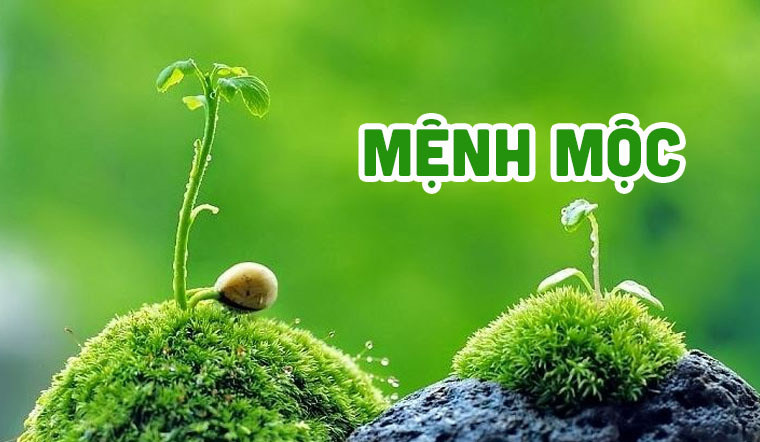 Cách chọn vật phẩm phong thủy theo mệnh hút tài lộc, buôn may bán đắt