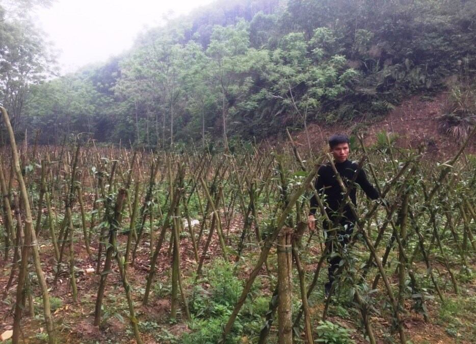 cách làm giàu ở nông thôn