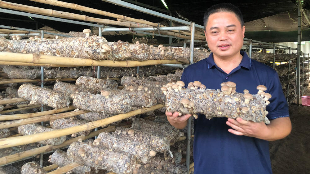cách làm giàu ở nông thôn